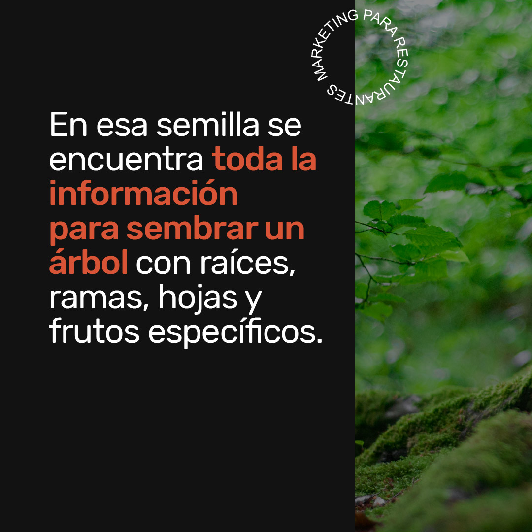 adn-narrativa-de-marca-5