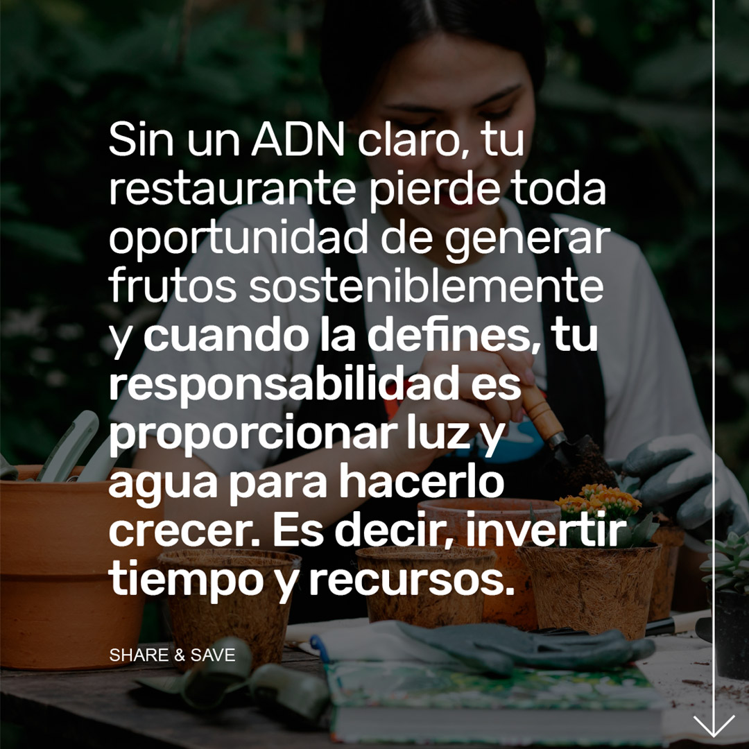 adn-narrativa-de-marca-5