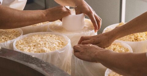 colaboración gastronómica